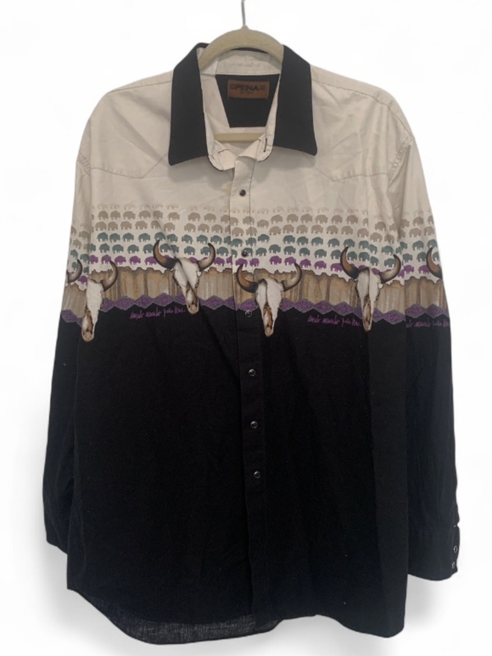 Vintage Peรฑa by Roper Long-Sleeve Western Shirt with Steer Skull Print